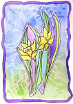 Daffodil Collage
