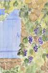 French Window