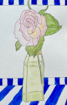 First Rose of Summer