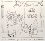 Fleurs