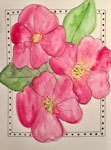 Flower Dreams