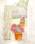 Garden in Pepieux