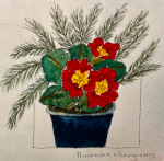 Primroses and Evergreens