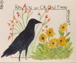 Raven or Crow
