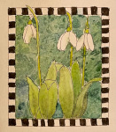 Snowdrops