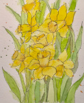 Spring Sunshine
